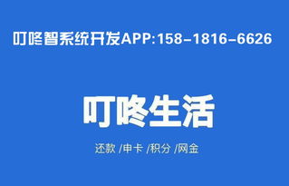 叮咚智還系統APP開發 廣州軟件開發的創新實踐